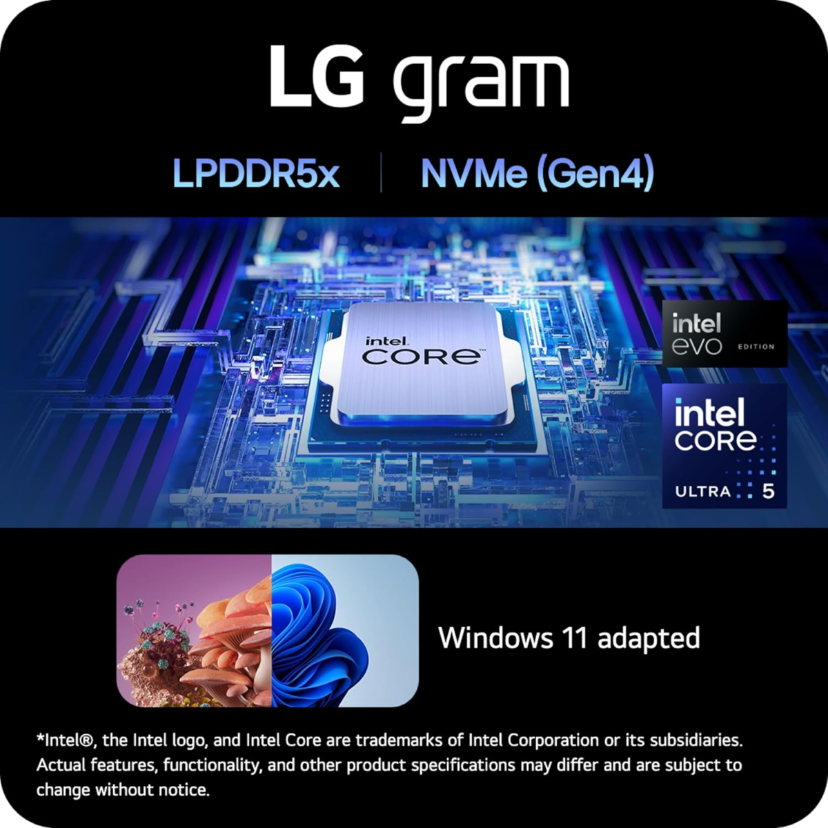 Gram 14-Inch Lightweight Laptop Intel Evo Edition - Intel Core Ultra 5 Processor Windows 11 Home 8GB RAM 512GB SSD - White - Image 4